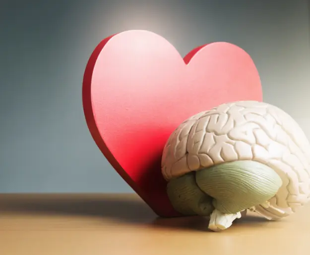 Inteligência Emocional - Dr. Norton Caldeira Psiquiatria do Estilo de Vida